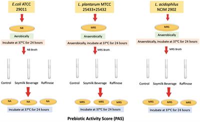 Exploring prebiotic properties and its probiotic potential of new formulations of soy milk-derived beverages